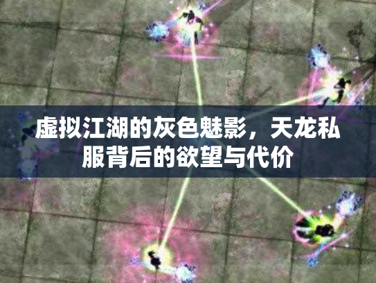虚拟江湖的灰色魅影，天龙私服背后的欲望与代价