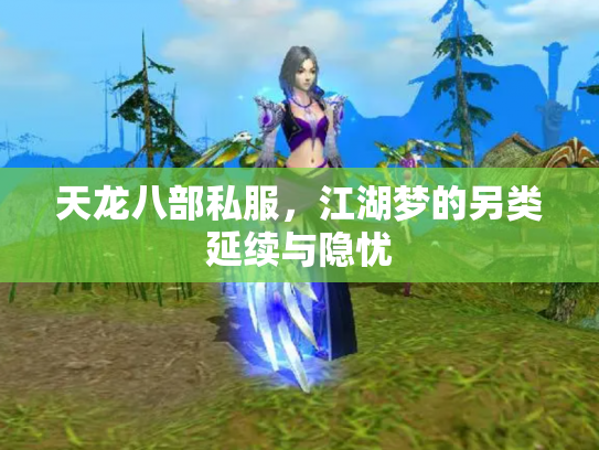 天龙八部私服，江湖梦的另类延续与隐忧