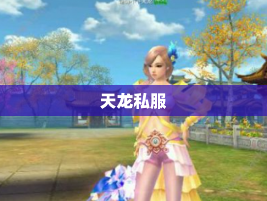 天龙私服