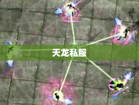 天龙私服