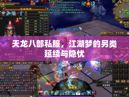 天龙八部私服，江湖梦的另类延续与隐忧