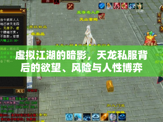 虚拟江湖的暗影，天龙私服背后的欲望、风险与人性博弈
