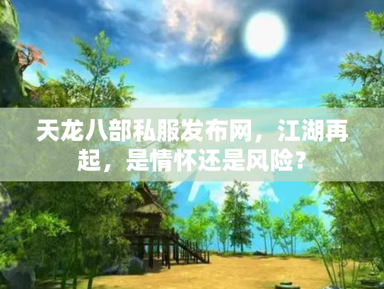天龙八部私服发布网，江湖再起，是情怀还是风险？