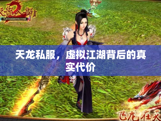 天龙私服，虚拟江湖背后的真实代价