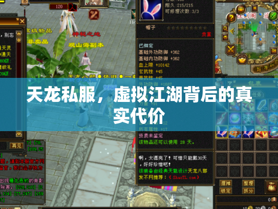 天龙私服，虚拟江湖背后的真实代价