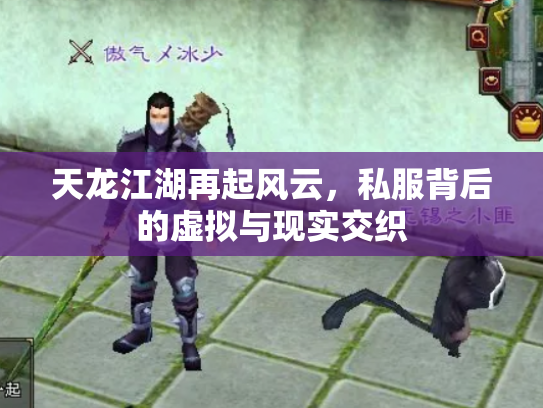 天龙江湖再起风云，私服背后的虚拟与现实交织