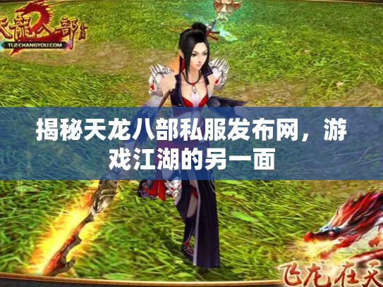 揭秘天龙八部私服发布网，游戏江湖的另一面