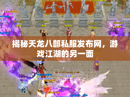 揭秘天龙八部私服发布网，游戏江湖的另一面