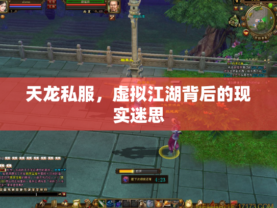 天龙私服，虚拟江湖背后的现实迷思