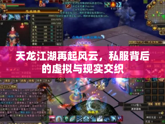 天龙江湖再起风云，私服背后的虚拟与现实交织