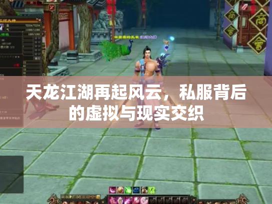 天龙江湖再起风云，私服背后的虚拟与现实交织