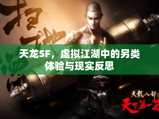 天龙SF，虚拟江湖中的另类体验与现实反思