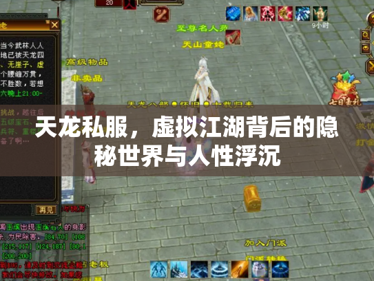天龙私服，虚拟江湖背后的隐秘世界与人性浮沉