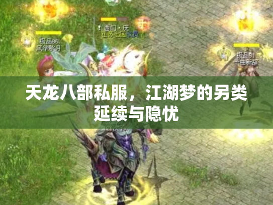 天龙八部私服，江湖梦的另类延续与隐忧