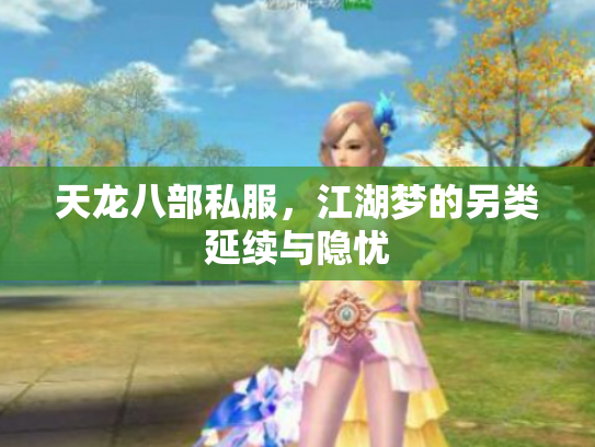 天龙八部私服，江湖梦的另类延续与隐忧