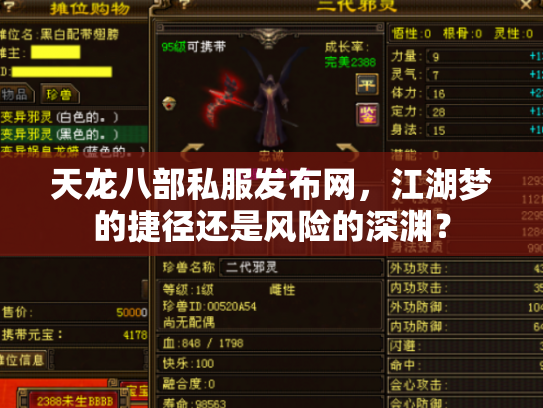 天龙八部私服发布网，江湖梦的捷径还是风险的深渊？