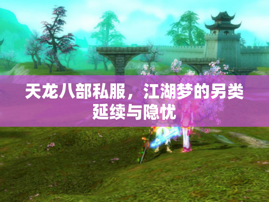天龙八部私服，江湖梦的另类延续与隐忧