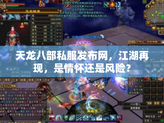 天龙八部私服发布网，江湖再现，是情怀还是风险？