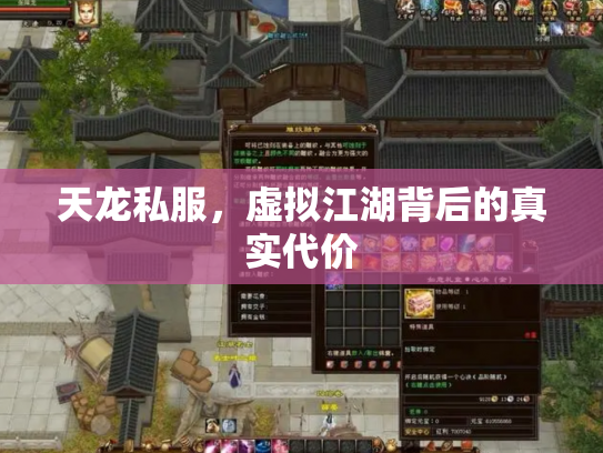 天龙私服，虚拟江湖背后的真实代价