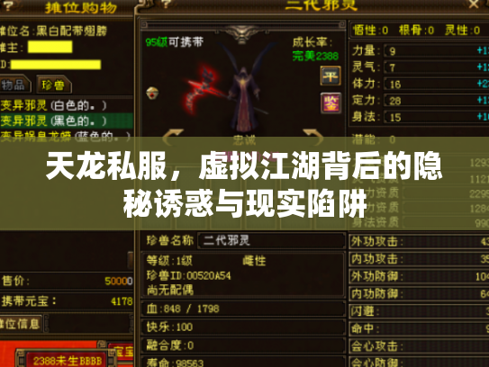 天龙私服，虚拟江湖背后的隐秘诱惑与现实陷阱
