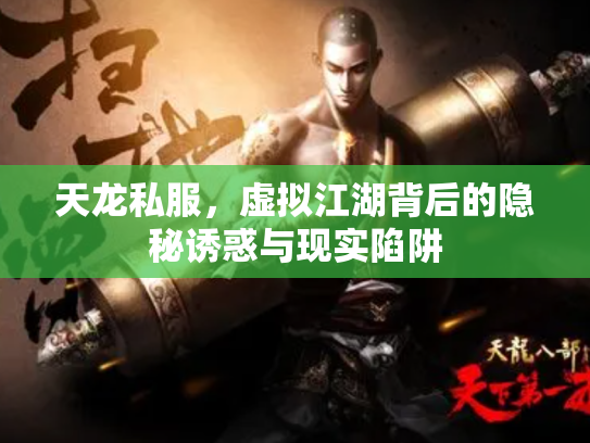 天龙私服，虚拟江湖背后的隐秘诱惑与现实陷阱