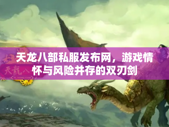 天龙八部私服发布网，游戏情怀与风险并存的双刃剑