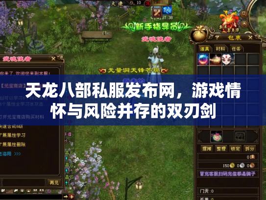天龙八部私服发布网，游戏情怀与风险并存的双刃剑