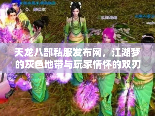 天龙八部私服发布网，江湖梦的灰色地带与玩家情怀的双刃剑