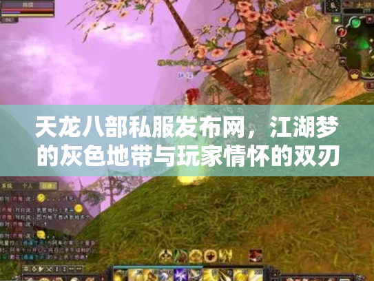 天龙八部私服发布网，江湖梦的灰色地带与玩家情怀的双刃剑
