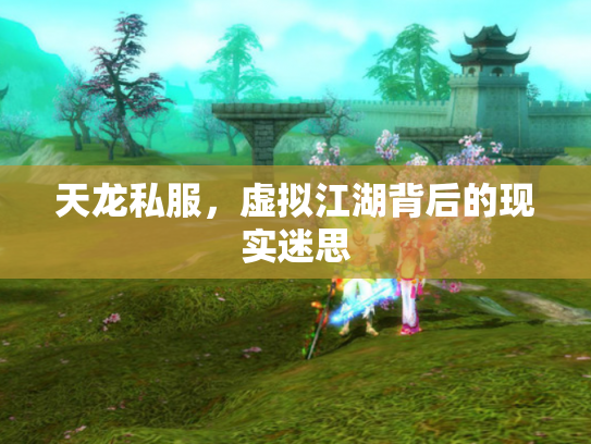 天龙私服，虚拟江湖背后的现实迷思
