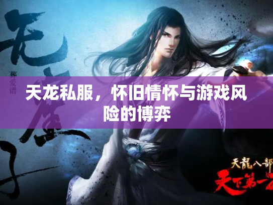 天龙私服，怀旧情怀与游戏风险的博弈