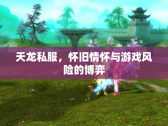 天龙私服，怀旧情怀与游戏风险的博弈