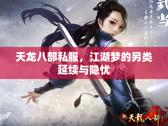 天龙八部私服，江湖梦的另类延续与隐忧