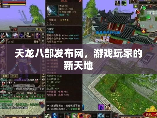 天龙八部发布网，游戏玩家的新天地