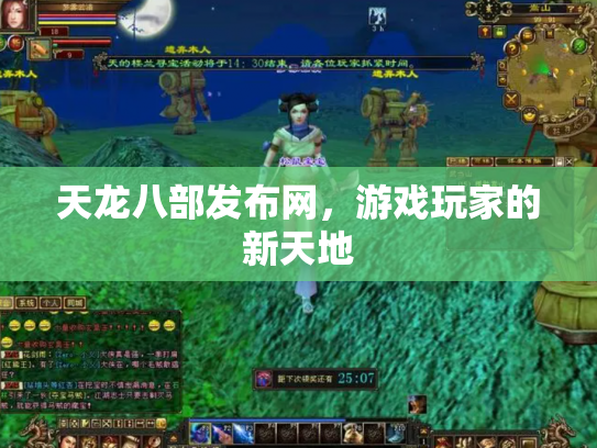 天龙八部发布网，游戏玩家的新天地