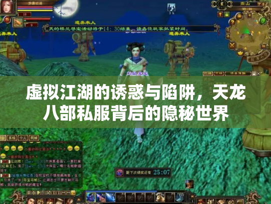 虚拟江湖的诱惑与陷阱，天龙八部私服背后的隐秘世界