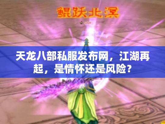 天龙八部私服发布网，江湖再起，是情怀还是风险？