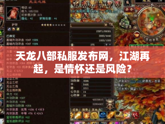 天龙八部私服发布网，江湖再起，是情怀还是风险？