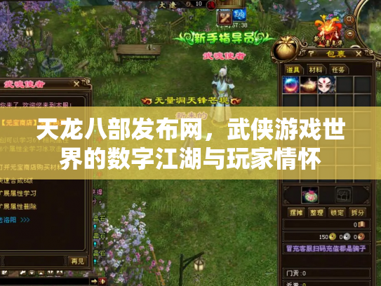 天龙八部发布网，武侠游戏世界的数字江湖与玩家情怀