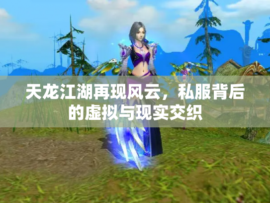 天龙江湖再现风云，私服背后的虚拟与现实交织