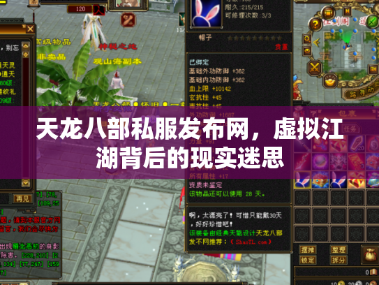 天龙八部私服发布网，虚拟江湖背后的现实迷思