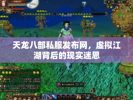 天龙八部私服发布网，虚拟江湖背后的现实迷思