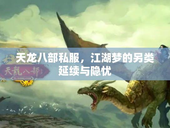 天龙八部私服，江湖梦的另类延续与隐忧