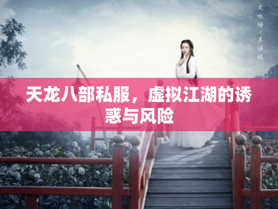 天龙八部私服，虚拟江湖的诱惑与风险