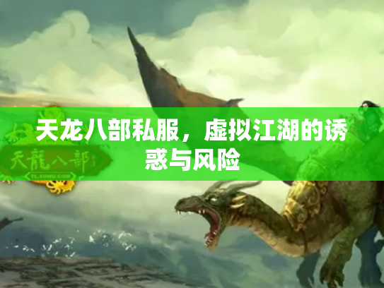 天龙八部私服，虚拟江湖的诱惑与风险