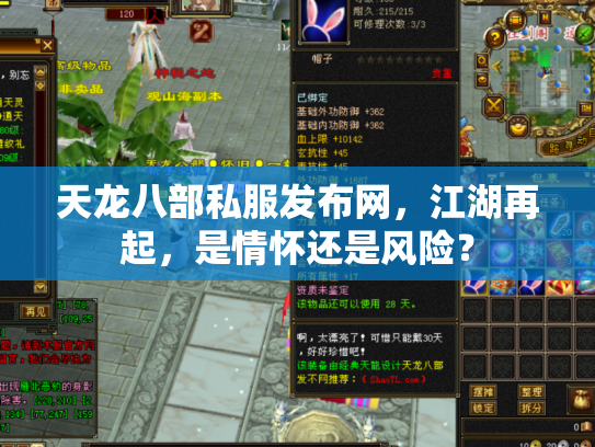 天龙八部私服发布网，江湖再起，是情怀还是风险？