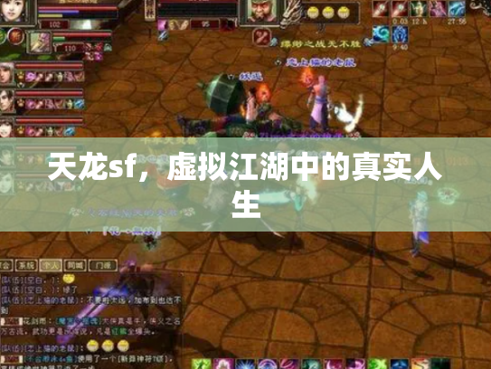 天龙sf，虚拟江湖中的真实人生