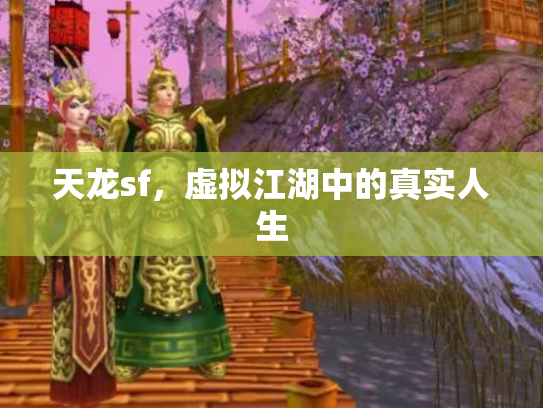 天龙sf，虚拟江湖中的真实人生