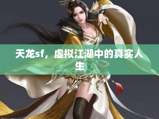天龙sf，虚拟江湖中的真实人生