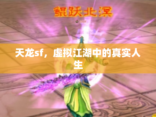 天龙sf，虚拟江湖中的真实人生